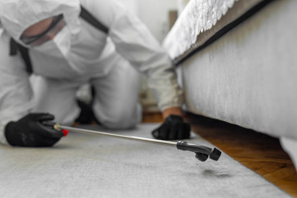 Professional Bed Bug Control technician working in Boscobel, WI